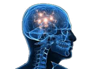  Parkinson hastalığı erişkinlerde Alzheimer hastalığından sonra ikinci sıklıkta görülen nörodejeneratif (sinir hücre harabiyeti sonucunda gelişen) bir hastalıktır. Parkinson hastalığının görülme sıklığı 55-60 yaş üzerindeki nüfusta %1 ‘dir. Bu oran oldukça sabit olmasına karşın, yaşam süresinin uzaması dolayısıyla toplumda yaşlı nüfusunun artması Parkinson hastalarının sayısında da artışa neden olmaktadır. Parkinson olgularının % 5 ila 10’u kalıtsaldır ve genetik tipler genellikle 40 yaş öncesinde başlar. 
